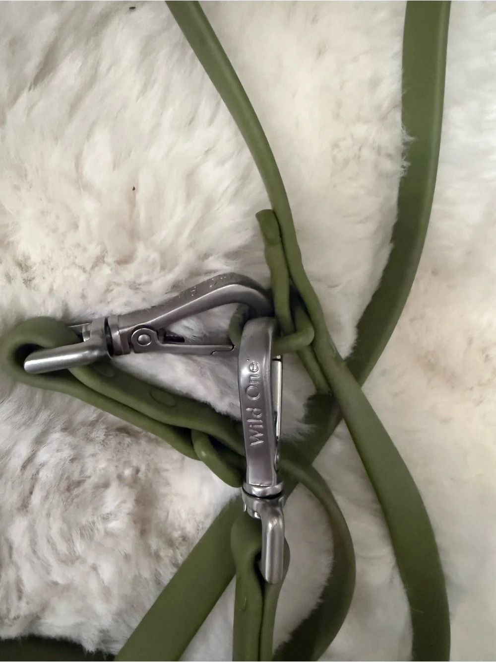 Wild One NWOT Green Waterproof Dog Leash with Silver Hardware SMALL